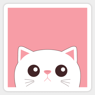 Cute peeking white cat face Sticker